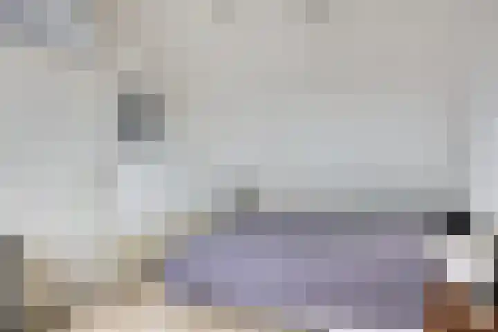 Traptoren 24 Middelburg thumbnail 20