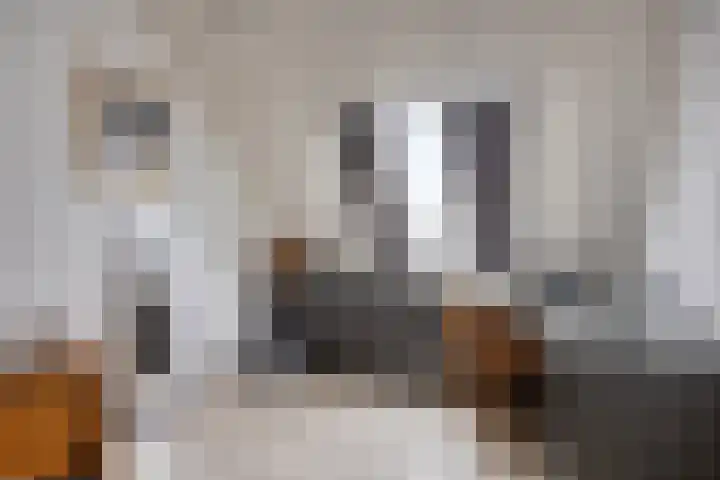 Traptoren 24 Middelburg thumbnail 21