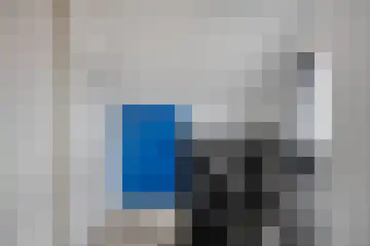 Traptoren 24 Middelburg thumbnail 22