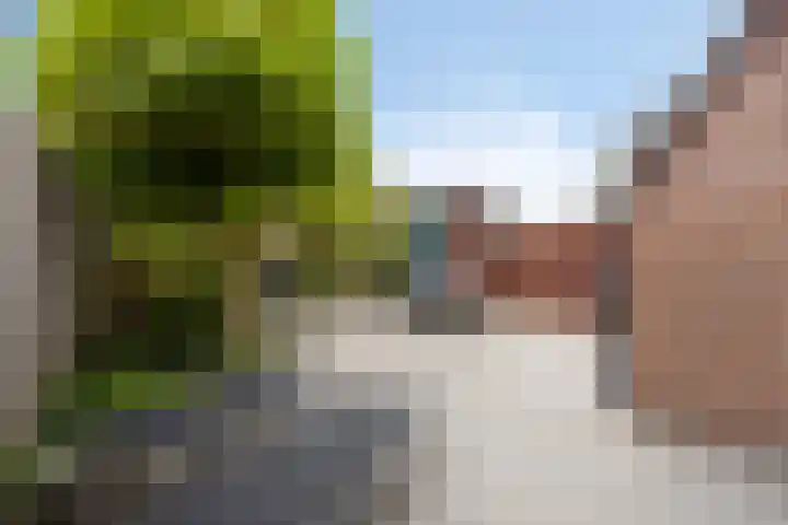Traptoren 24 Middelburg thumbnail 23