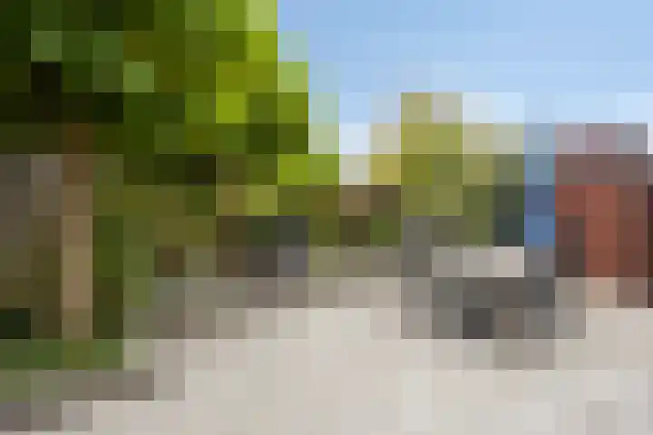 Traptoren 24 Middelburg thumbnail 25