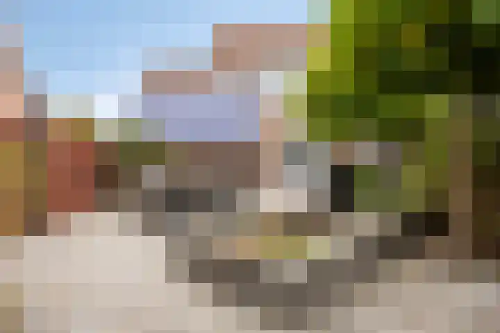 Traptoren 24 Middelburg thumbnail 26