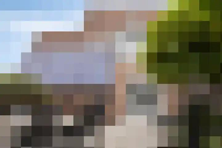 Traptoren 24 Middelburg thumbnail 27