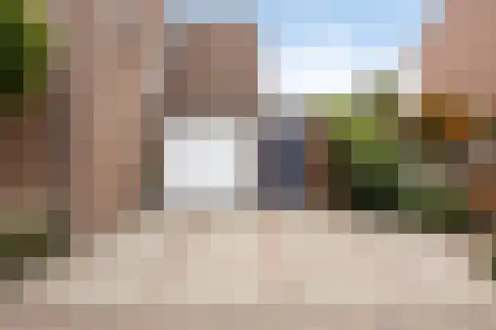 Traptoren 24 Middelburg thumbnail 4
