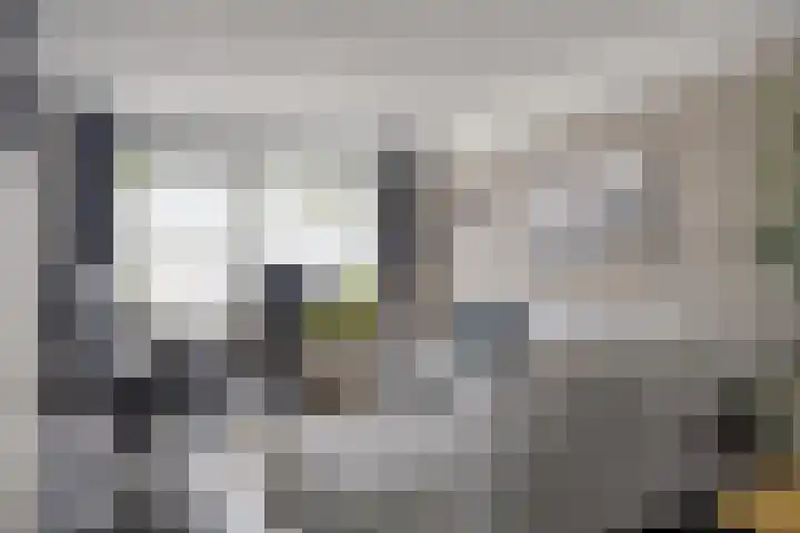 Traptoren 24 Middelburg thumbnail 6