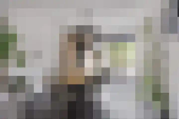Traptoren 24 Middelburg thumbnail 9