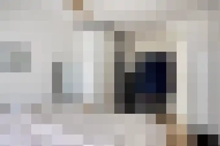 Traptoren 38 Middelburg thumbnail 10