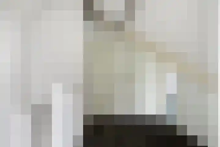 Traptoren 38 Middelburg thumbnail 12