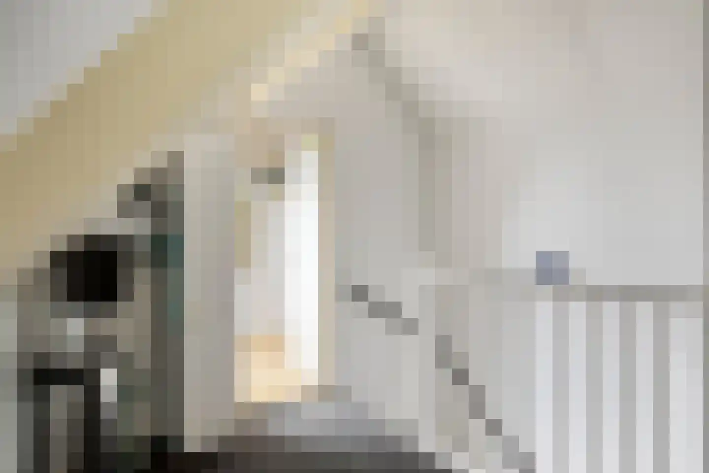 Traptoren 38 Middelburg thumbnail 13