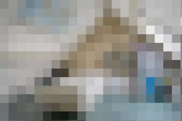 Traptoren 38 Middelburg thumbnail 14