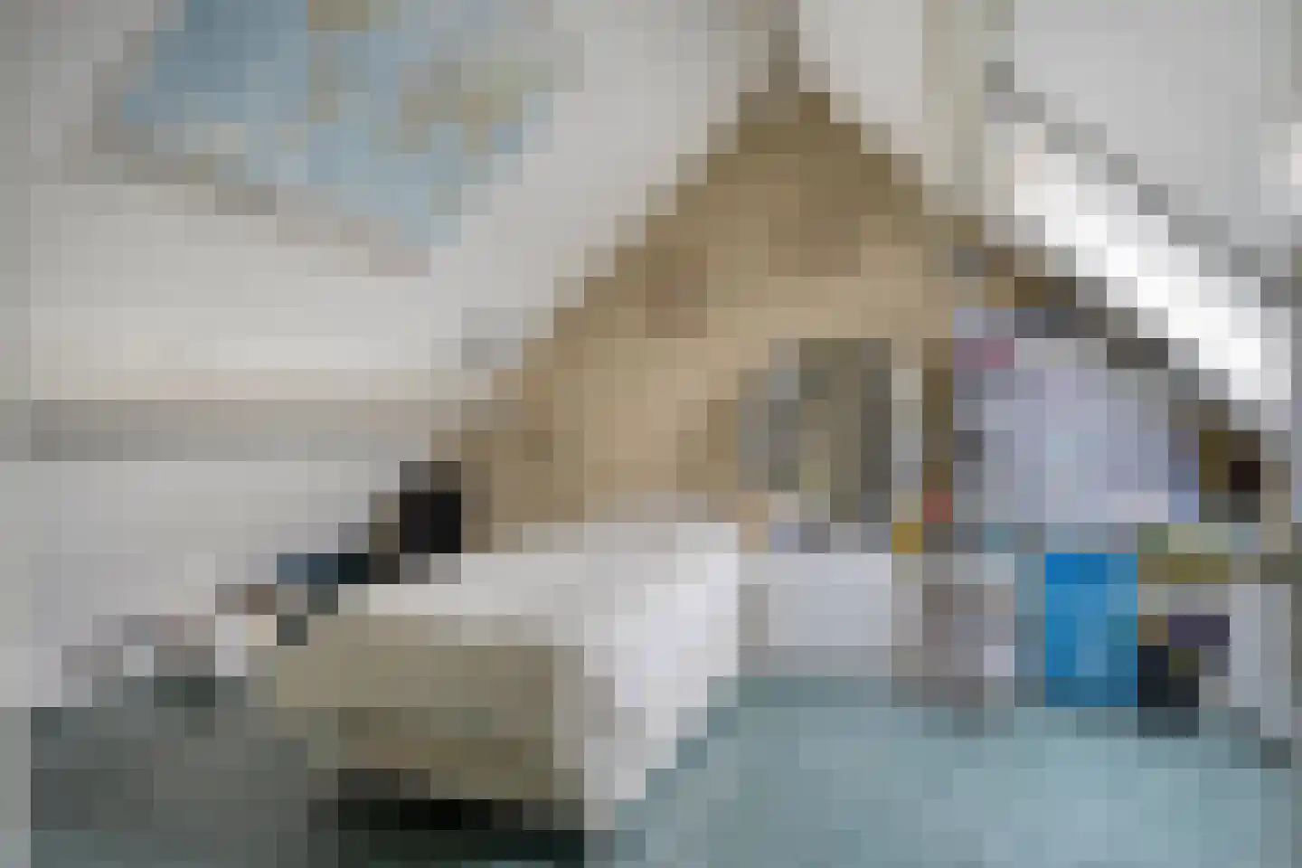Traptoren 38 Middelburg thumbnail 14