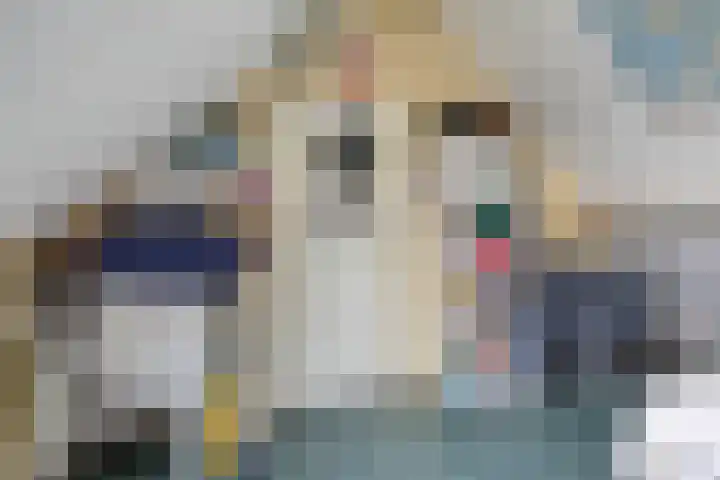 Traptoren 38 Middelburg thumbnail 15