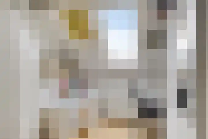 Traptoren 38 Middelburg thumbnail 17