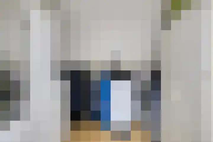 Traptoren 38 Middelburg thumbnail 18