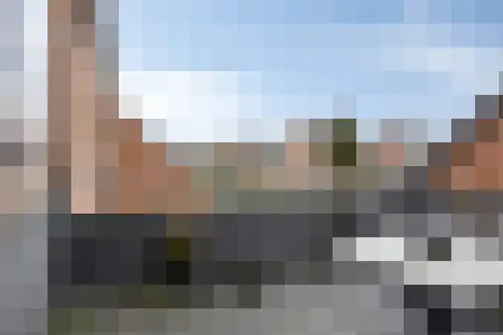 Traptoren 38 Middelburg thumbnail 19