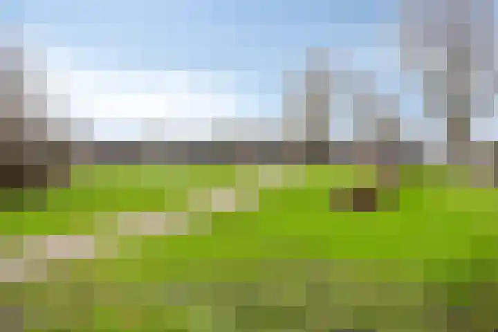 Traptoren 38 Middelburg thumbnail 21