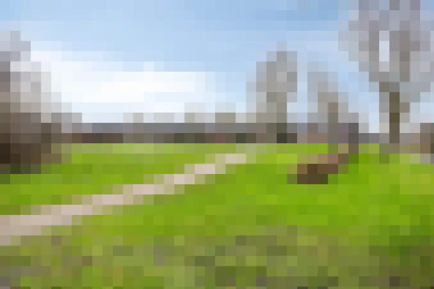 Traptoren 38 Middelburg thumbnail 21