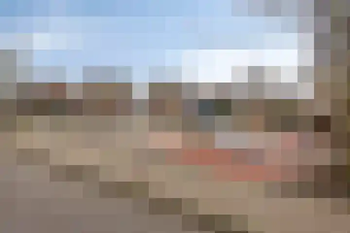 Traptoren 38 Middelburg thumbnail 22