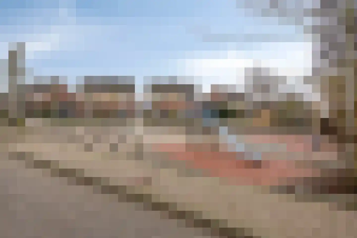 Traptoren 38 Middelburg thumbnail 22