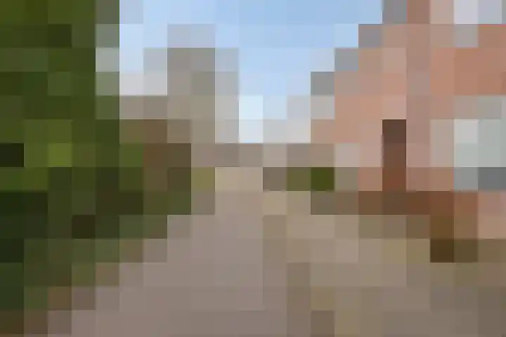 Traptoren 38 Middelburg thumbnail 23
