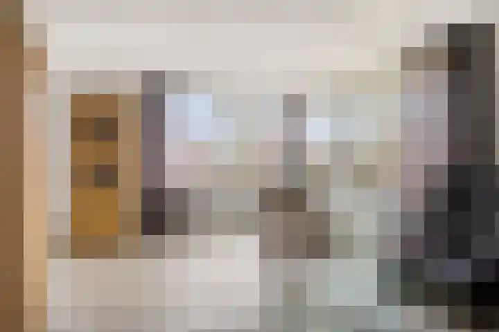 Traptoren 38 Middelburg thumbnail 4