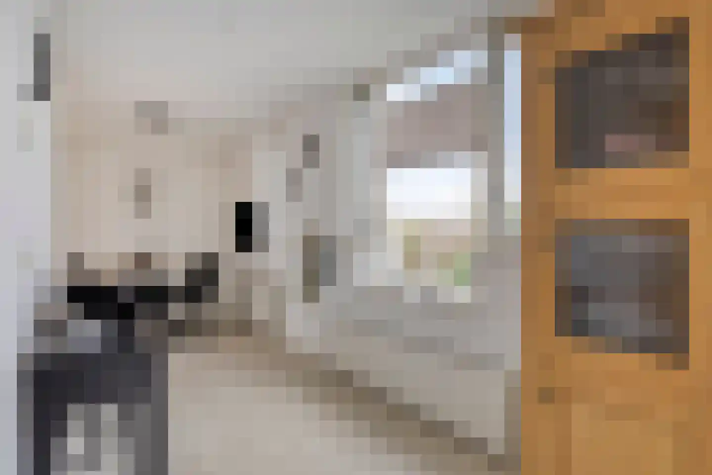 Traptoren 38 Middelburg thumbnail 5