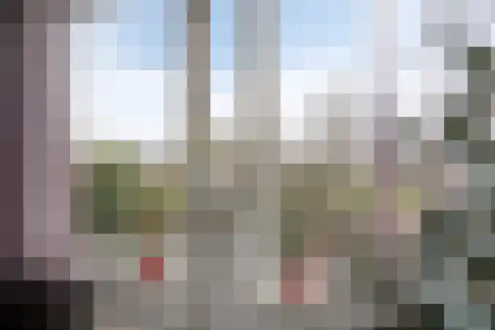 Traptoren 38 Middelburg thumbnail 8