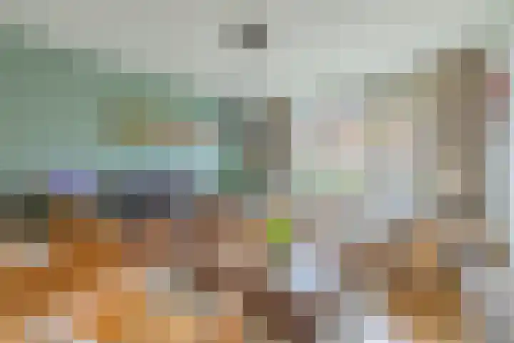 Traptoren 6 Middelburg thumbnail 12