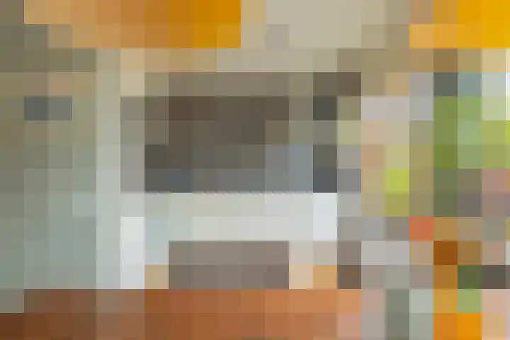 Traptoren 6 Middelburg thumbnail 16