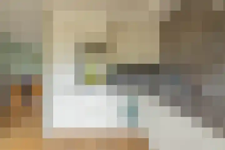 Traptoren 6 Middelburg thumbnail 18