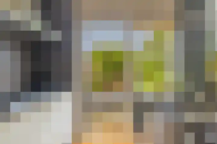 Traptoren 6 Middelburg thumbnail 20