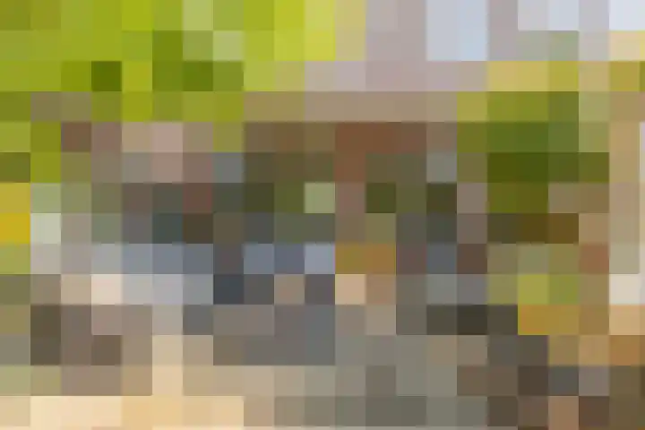 Traptoren 6 Middelburg thumbnail 21