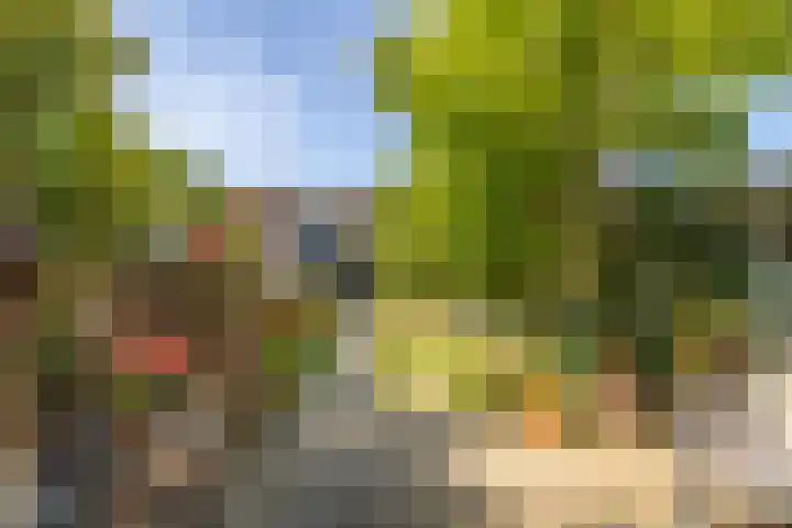 Traptoren 6 Middelburg thumbnail 23