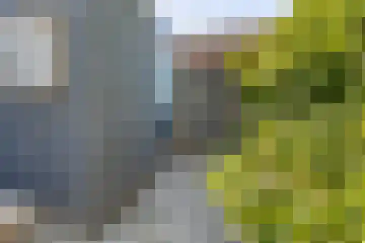 Traptoren 6 Middelburg thumbnail 25