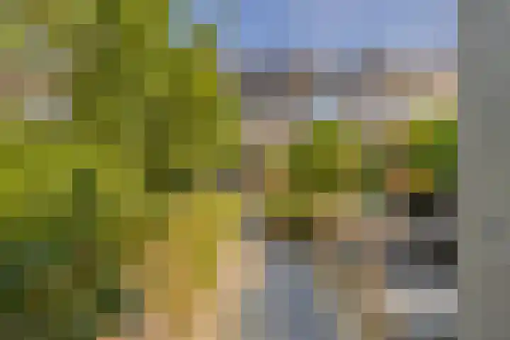 Traptoren 6 Middelburg thumbnail 26