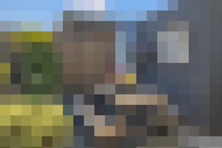 Traptoren 6 Middelburg thumbnail 27