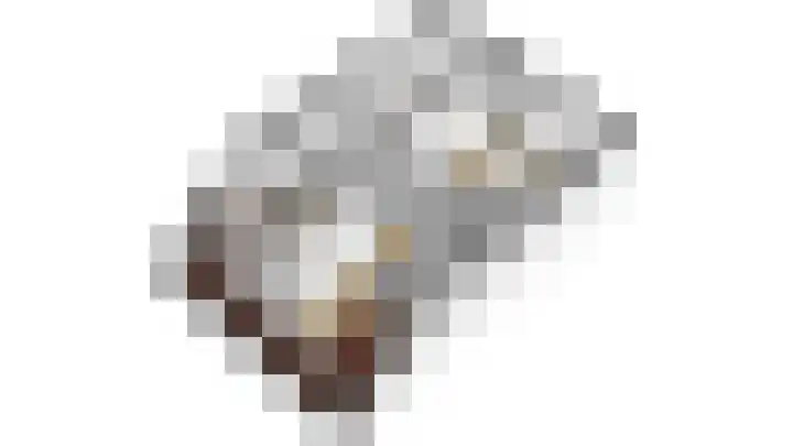 Traptoren 6 Middelburg thumbnail 30