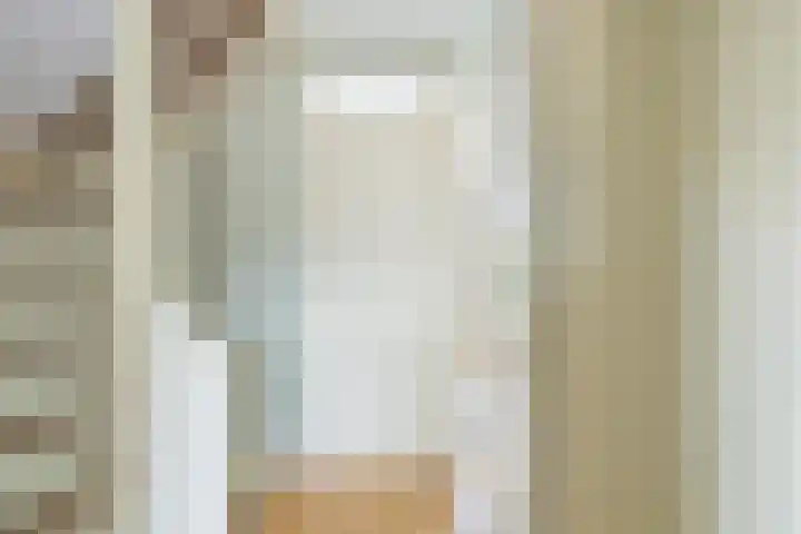 Traptoren 6 Middelburg thumbnail 31