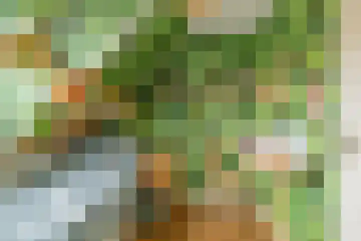 Traptoren 6 Middelburg thumbnail 40