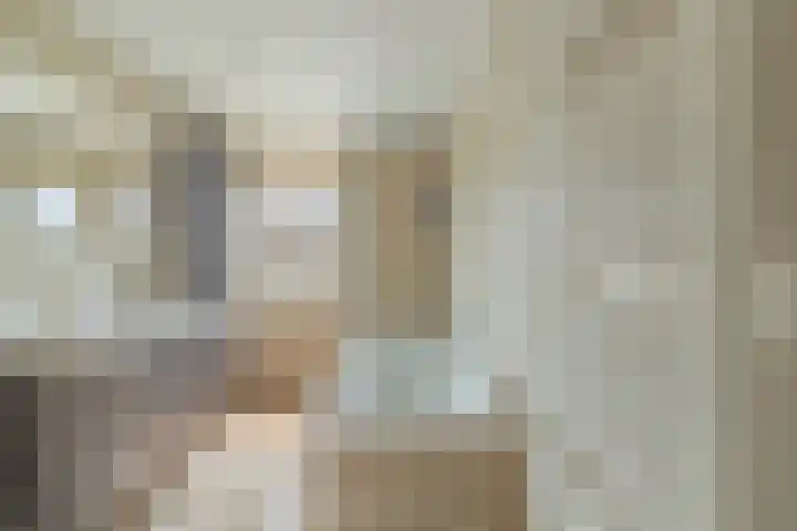 Traptoren 6 Middelburg thumbnail 42
