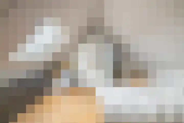 Traptoren 6 Middelburg thumbnail 49