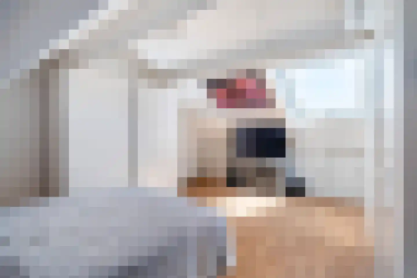 Trapveld 27 Nootdorp thumbnail 19