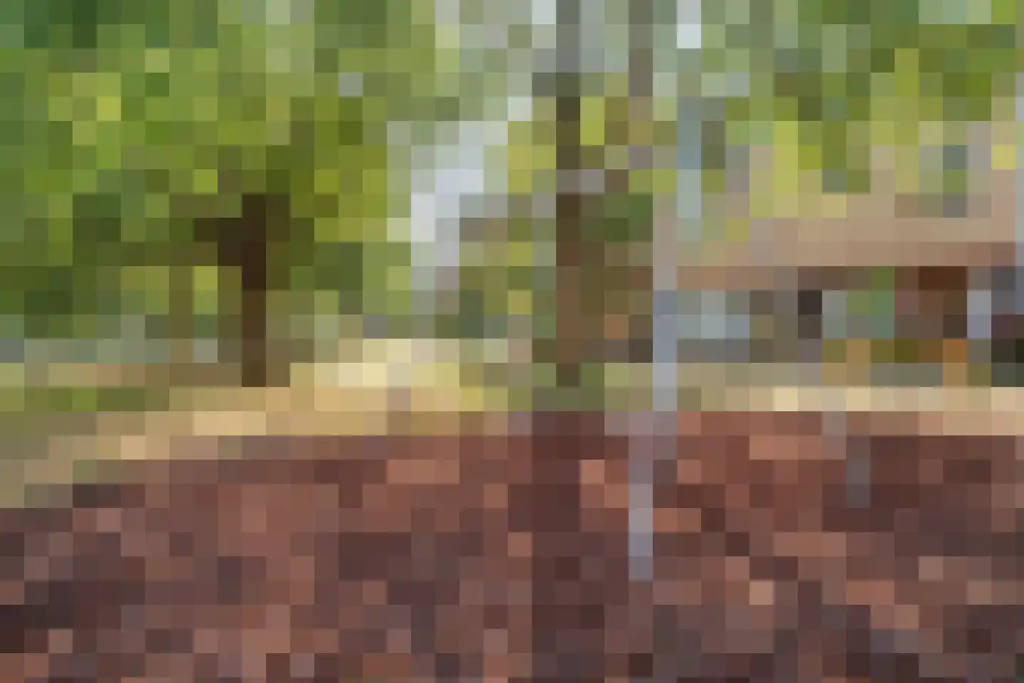 Trapveld 27 Nootdorp thumbnail 25