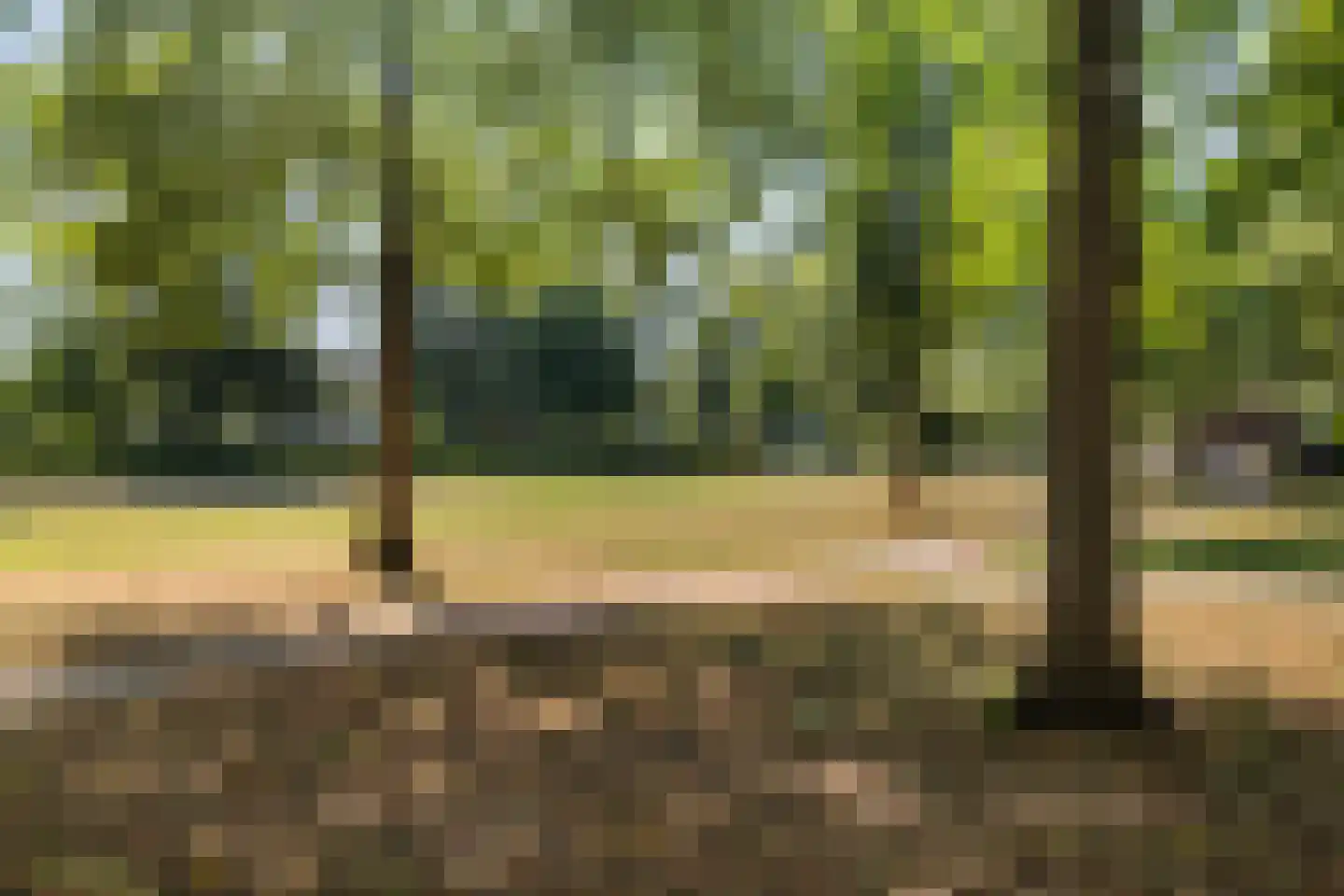 Trapveld 27 Nootdorp thumbnail 26
