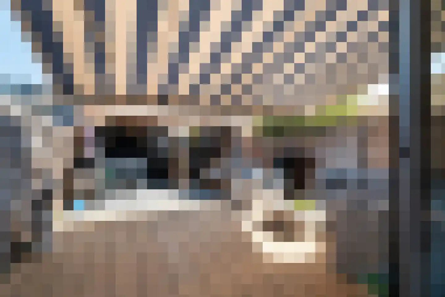 Trapveld 27 Nootdorp thumbnail 4