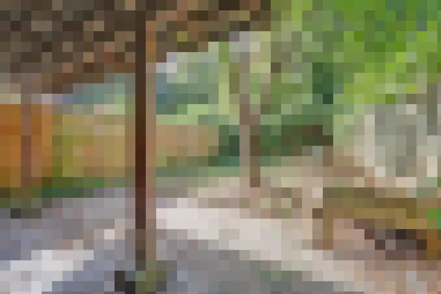 Trashorst 23 Doetinchem thumbnail 33