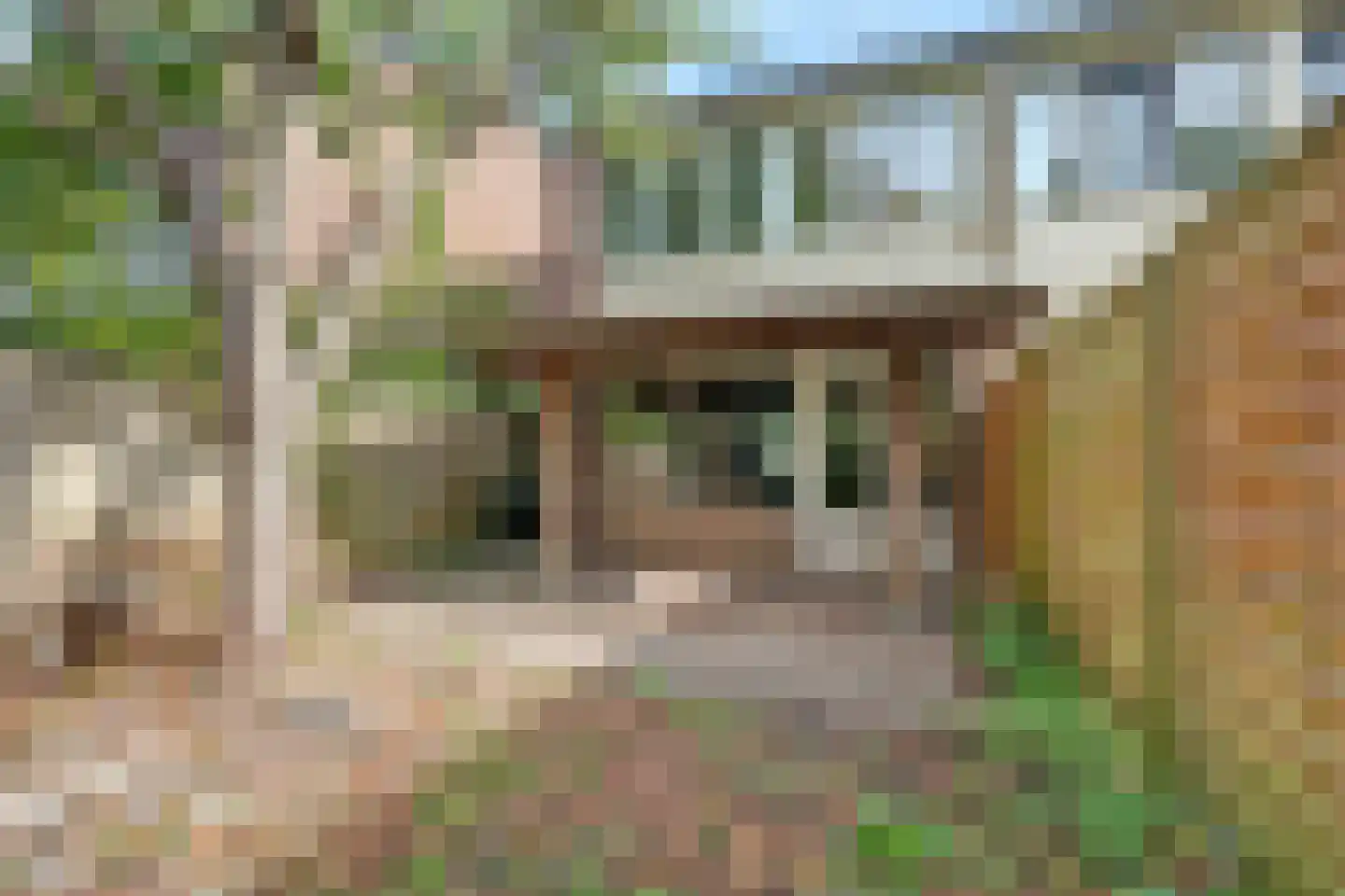 Trashorst 23 Doetinchem thumbnail 35