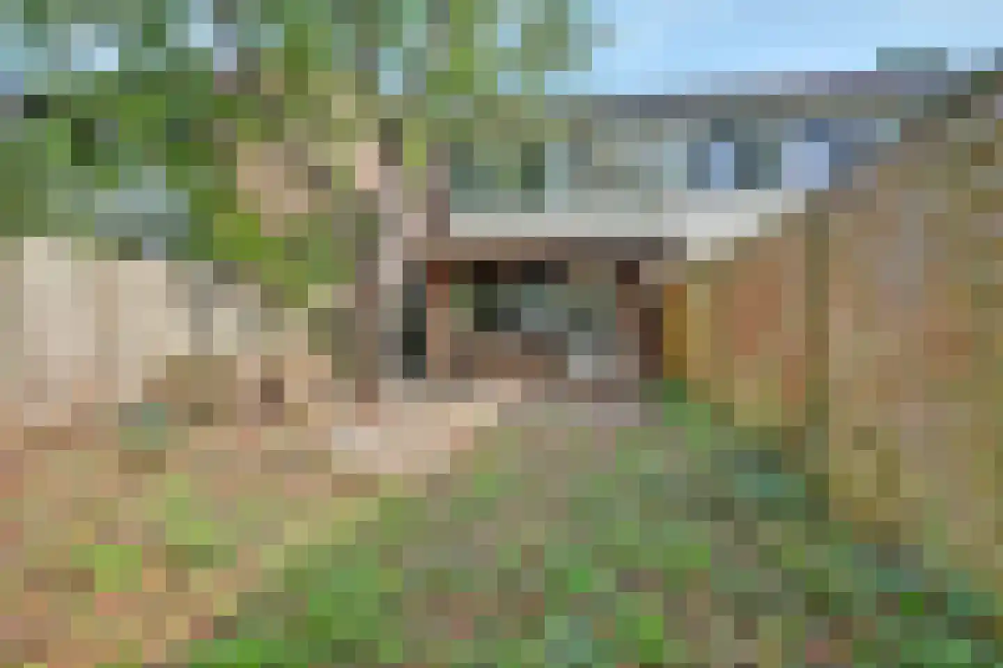 Trashorst 23 Doetinchem thumbnail 36