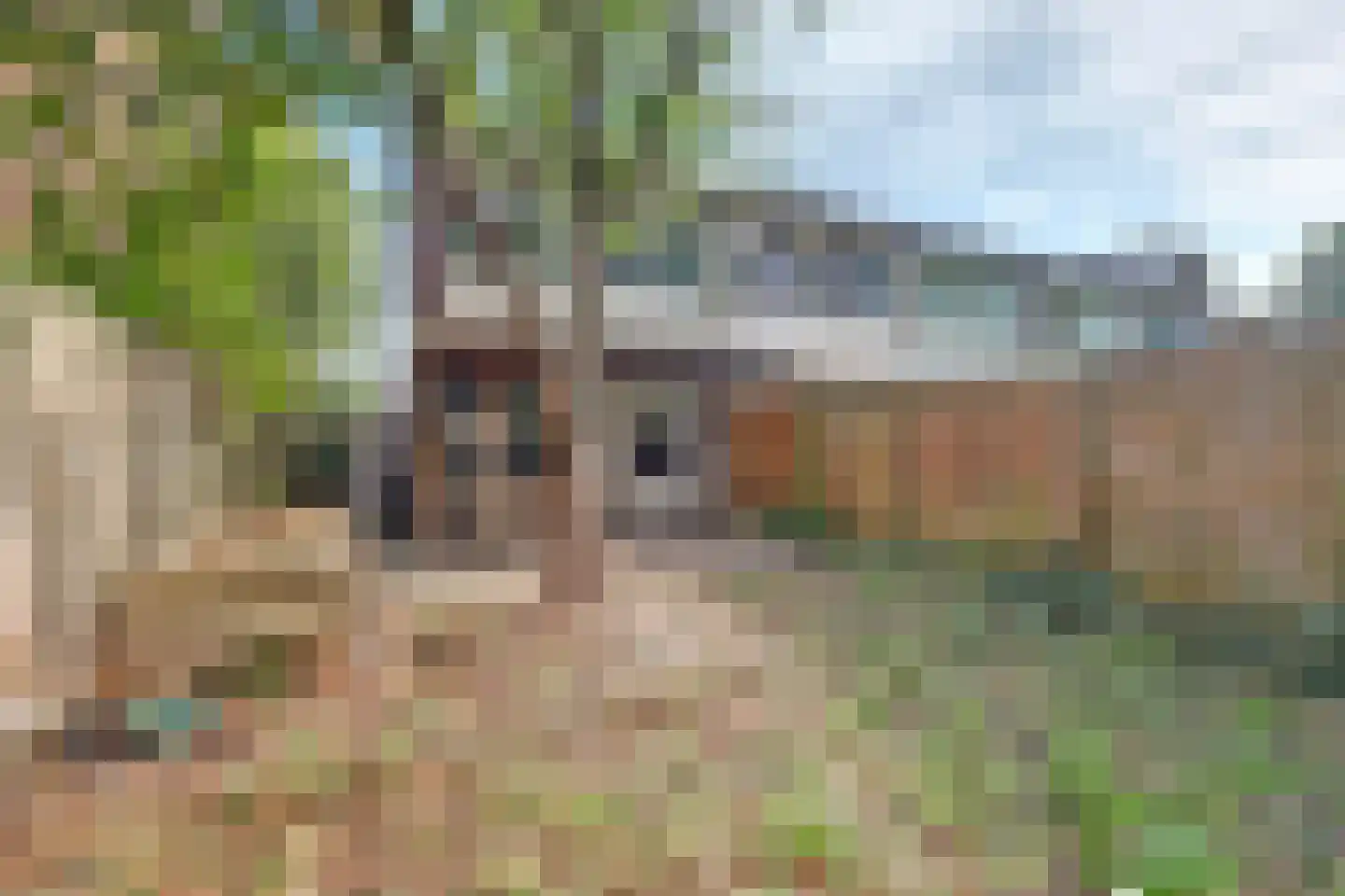 Trashorst 23 Doetinchem thumbnail 37