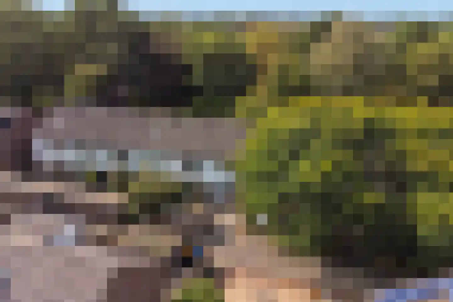 Trashorst 23 Doetinchem thumbnail 39